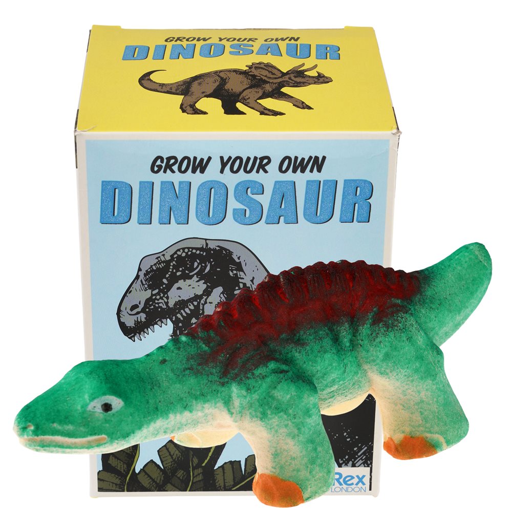 Grow your hot sale own dinosaur egg